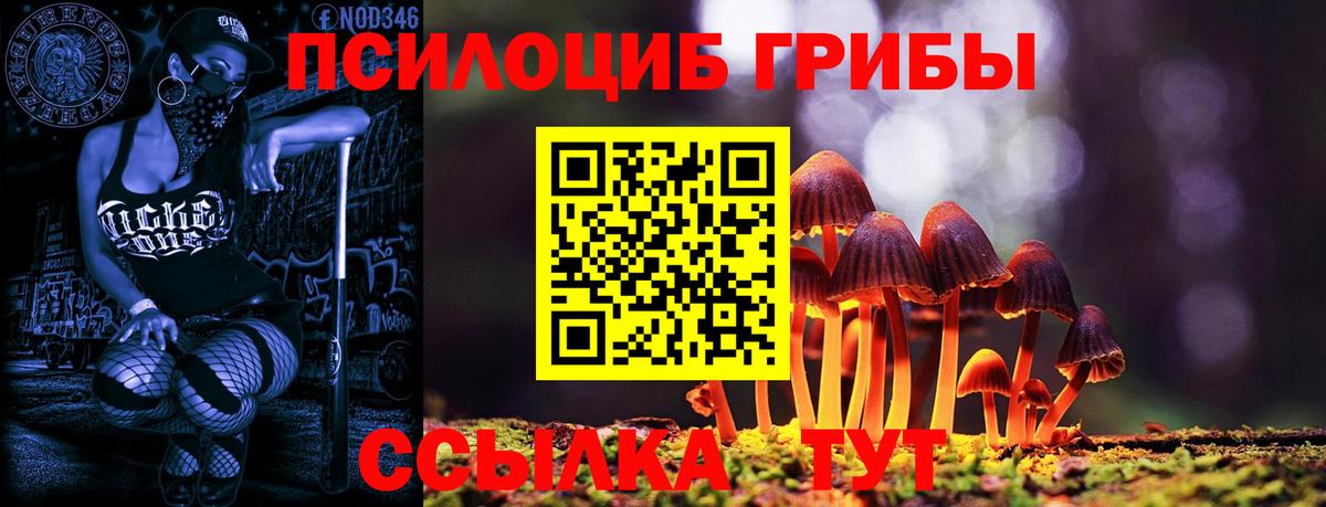Владикавказ  купить наркотик  Вход с VPN  Псилоцибиновые грибы ЛСД 